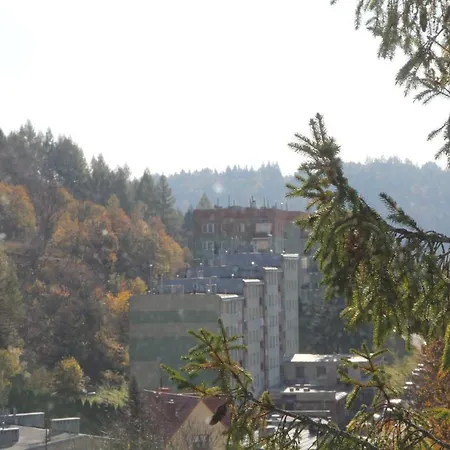Osrodek Wypoczynkowy Dziedzic 3* Krynica Zdroj